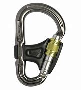 Image result for Black Carabiner Clip