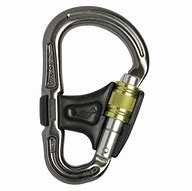 Image result for Round Carabiner