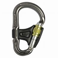 Image result for Giant Carabiners