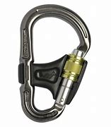 Image result for Small Locking Carabiner
