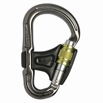 Image result for Mini Carabiner