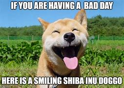 Image result for Shiba Inu Smile Meme