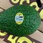 Image result for avocarse