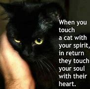 Image result for Sad Cat Quotes