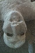 Image result for Pompeii Volcano Ash