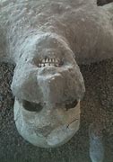 Image result for Pompeii Animal Bodies