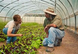 Image result for Mexico Agriculture