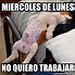 Image result for Fotos Chistosas