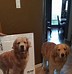 Image result for Large Cardboard Cutouts
