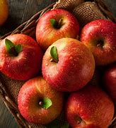Image result for Red Fuji Apple Tree