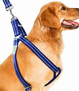 Image result for Clip for Dog Leash