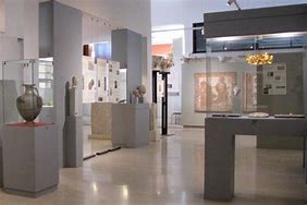 Image result for Museum Display Stands