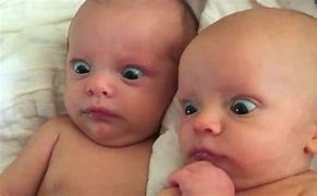 Image result for Hilarious Vines