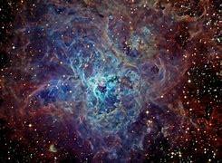 Image result for Cosmic Tarantula
