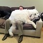 Image result for Funny Dog Thinking