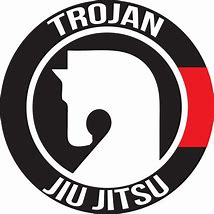 Image result for Jiu Jitsu Logo