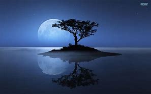 Image result for Blue Moon Screensavers