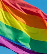 Image result for Rainbow Flag Jpg