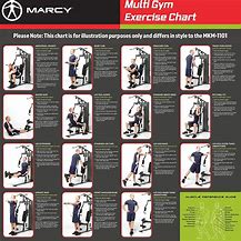 Image result for Home Gym Workout Chart