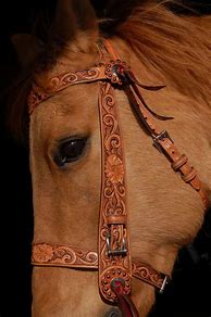 Image result for Horse Head Western Bridle On