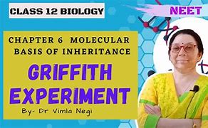 Image result for Griffith Experiment NCERT