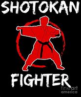 Image result for Shotokan Karate Martial Arts