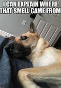 Image result for Rescue Puppy Meme