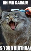 Image result for happy cats meme