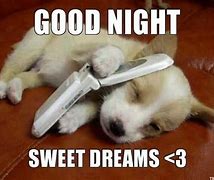 Image result for Cute Good Night Meme
