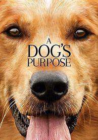 Image result for Up Movie Dog Print Out