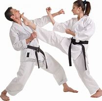 Image result for Forms of Karate