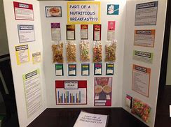 Image result for Sugar Science Fair Projects