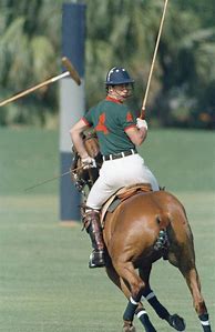 Image result for Prince Charles Polo
