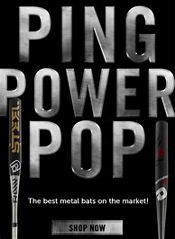 Image result for metal softball bats