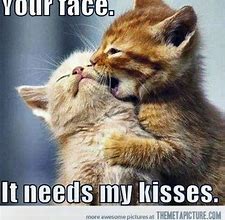 Image result for Funny First Kiss Memes