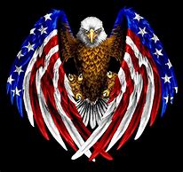 Image result for American Bald Eagle with Flag Banner