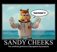 Image result for Sandy Cheeks Meme