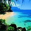Image result for Hawaiian Beach Background