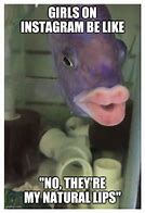 Image result for Fish with Lips Meme