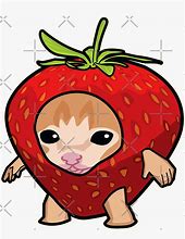 Image result for Strawberry Cat Meme
