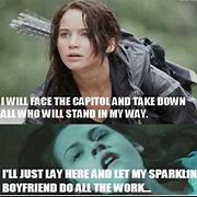 Image result for Hunger Games Mockingjay Memes