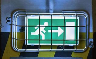 Image result for Emergency Exit Light Fixtures