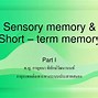 Image result for Latest Model for Memory Psychology