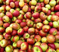 Image result for Purple Apple with Gold Top