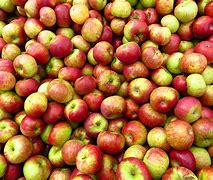 Image result for Most Apples