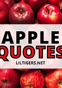 Image result for Apple User Quotes