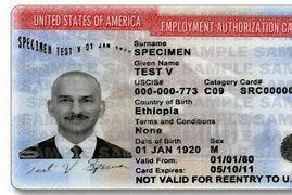 Image result for Work Permit Card