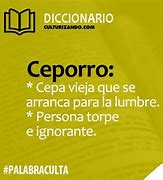 Image result for ceporro
