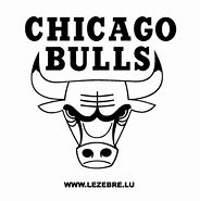 Image result for Chicago Bulls Logo White