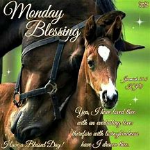 Image result for Happy Monday Horse